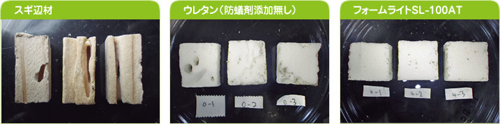 防蟻食害実験の結果