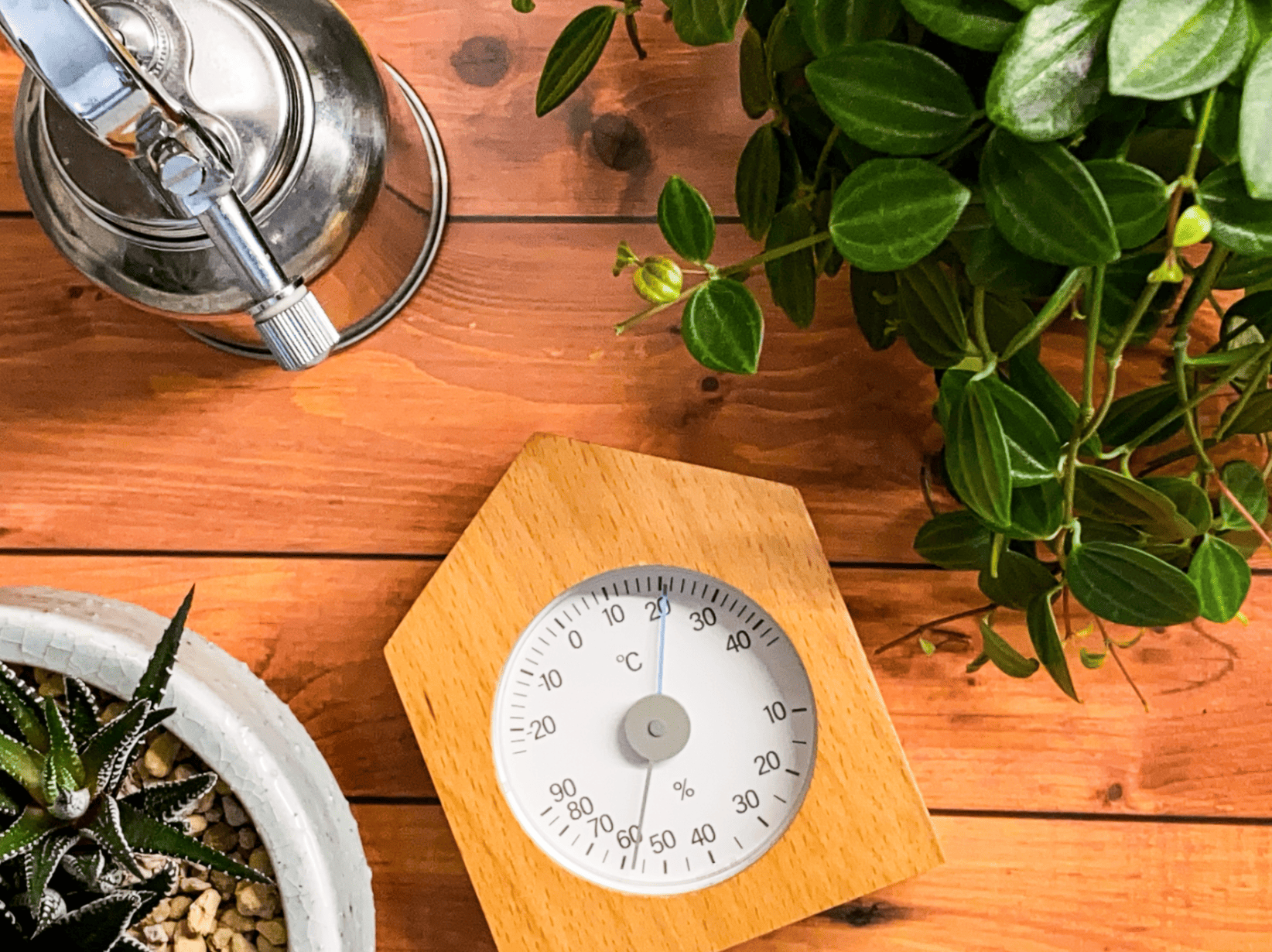 家の適正な湿度は？快適に過ごすための目安を解説